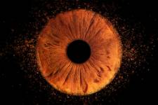 Laura RODRIGUES - OBJECTIF PHOTO