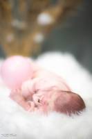 Hervé DIOLOGENT - HSD PHOTO