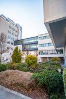 Edouard VASILIĆ - Edouard Vasilic